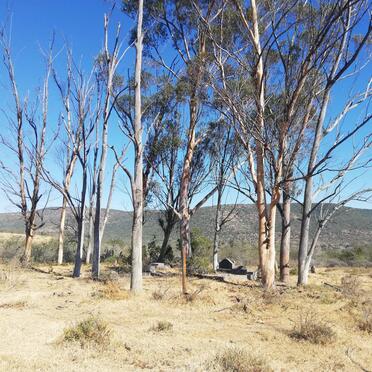 1. Overview / Oorsig