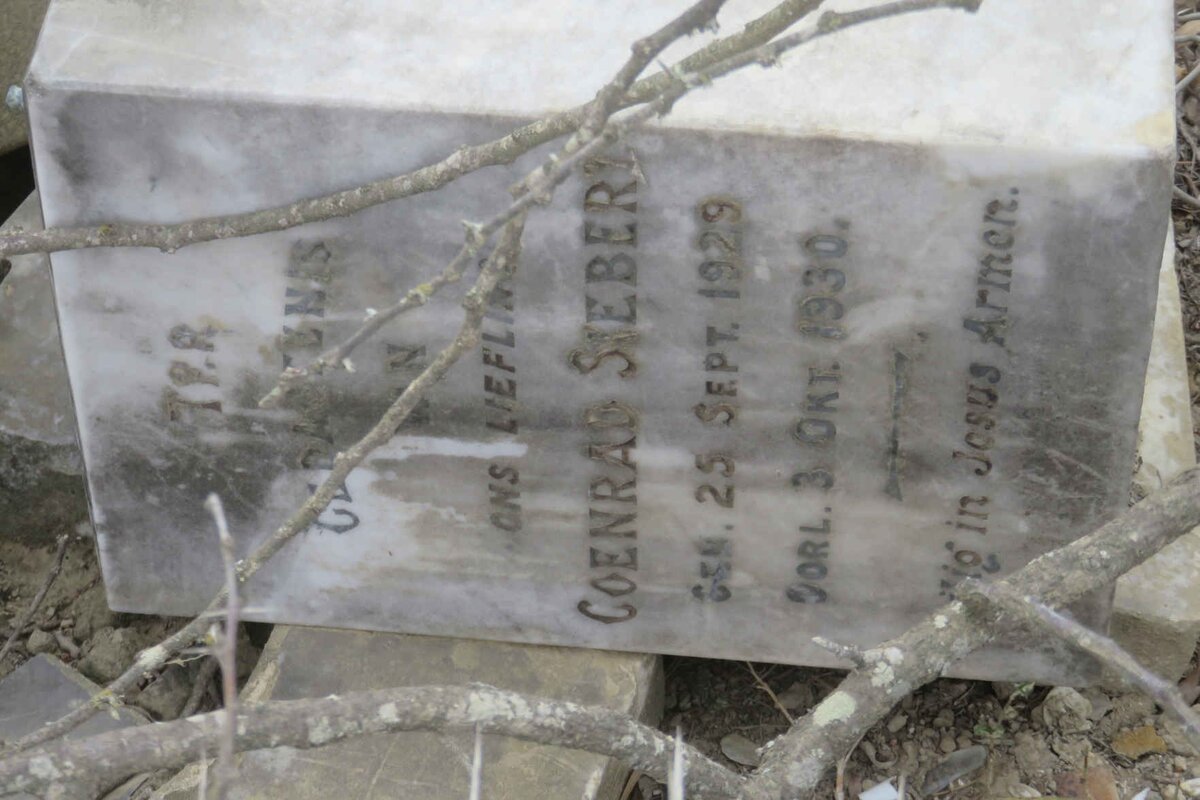 SIEBERT Coenrad 1929-1930