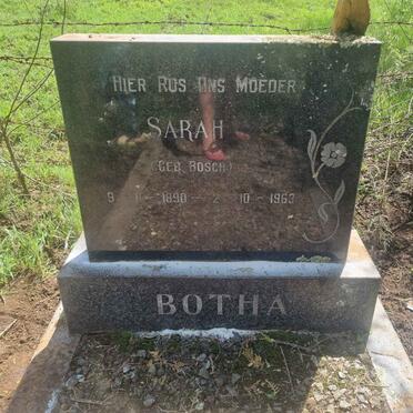 BOTHA Sarah nee BOSCH 1890-1963