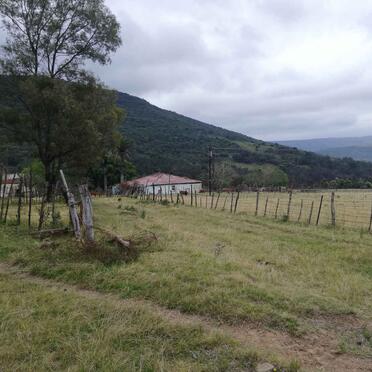 1. Overview / Oorsig