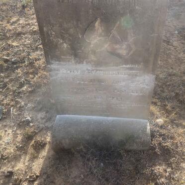 RAUBENHEIMER Hester nee BOTHA 1860-1930