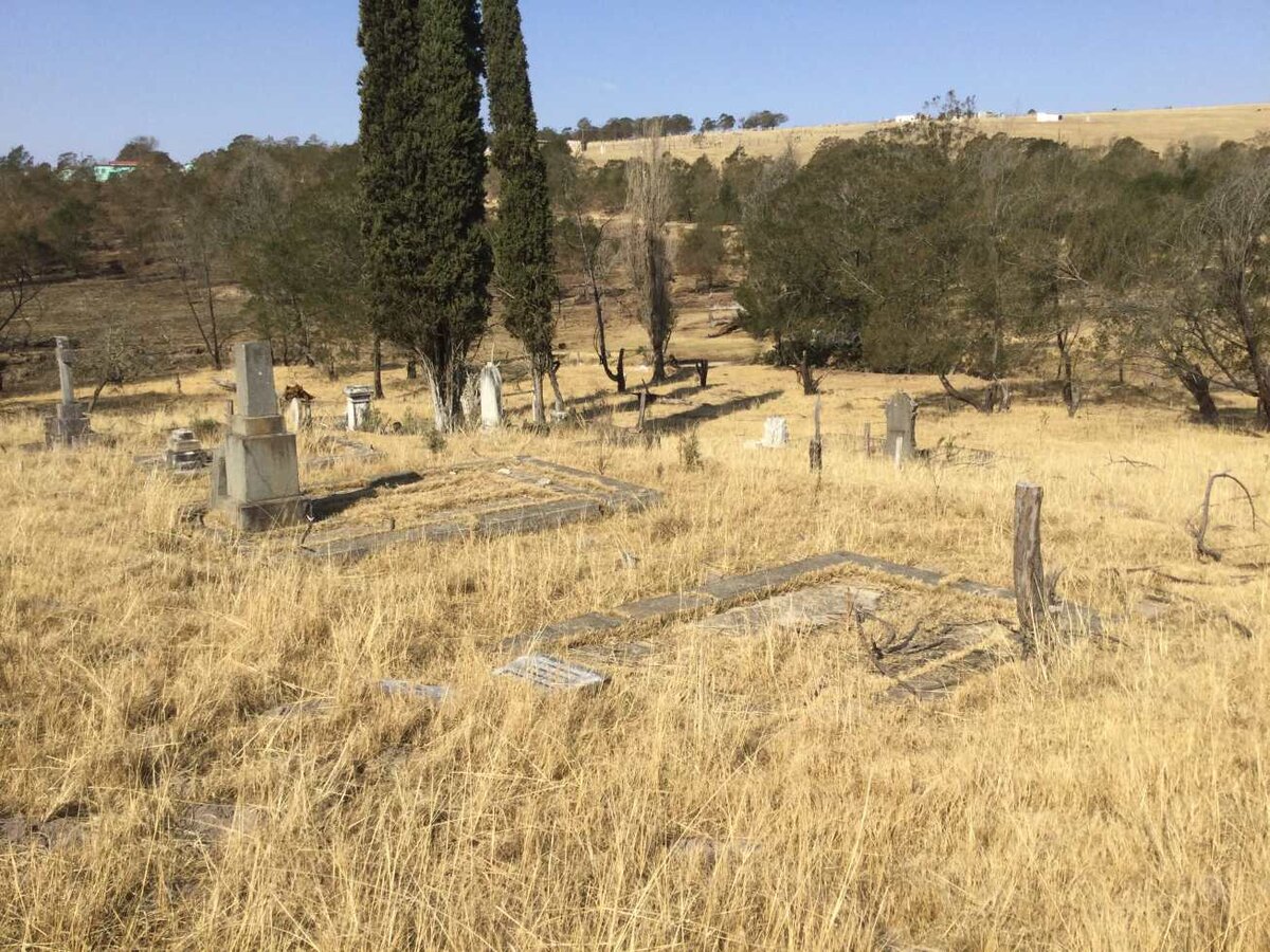 2. Overview / Oorsig