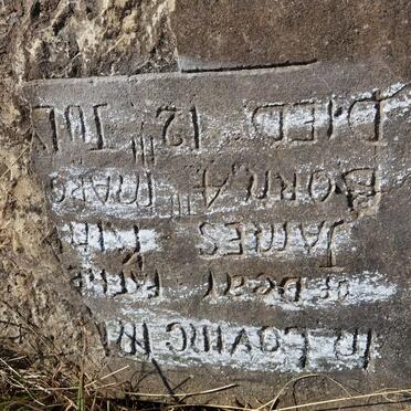 KING James 1861-1937