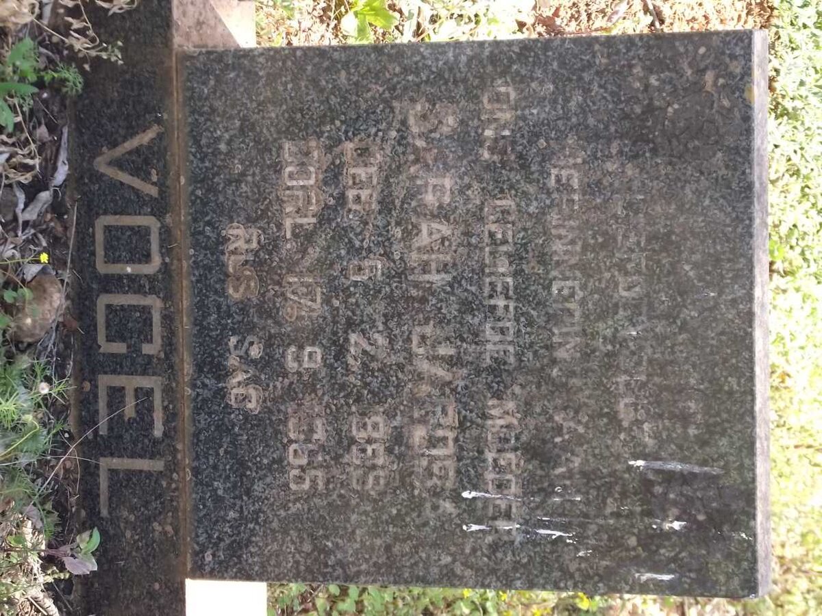 VOGEL Sarah Jacoba 1885-1965