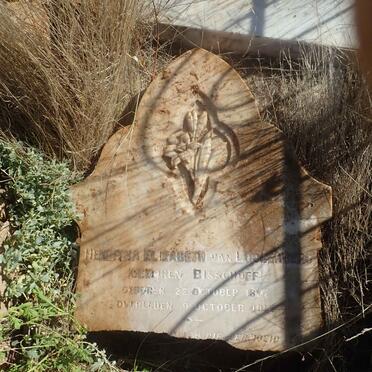 LOGGENBERG Hendrina Elizabeth, van nee BISSCHOFF 1827-1912