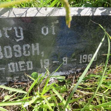 BOSCH Gert 1893-1969