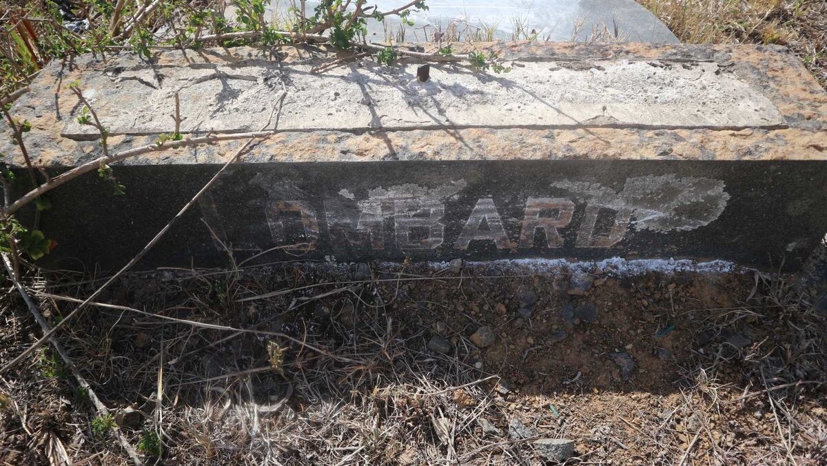 LOMBARD Willem Jacobus 1891-1962