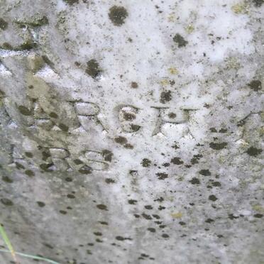 SMITH Sarah Jane -1895