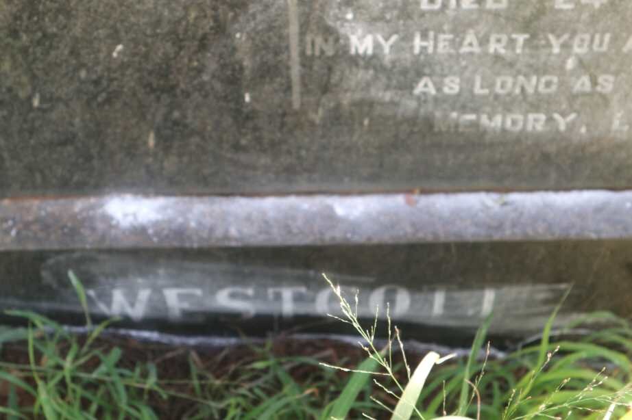 WESTCOTT Ethel Rosetta nee POOLE 1890-1959