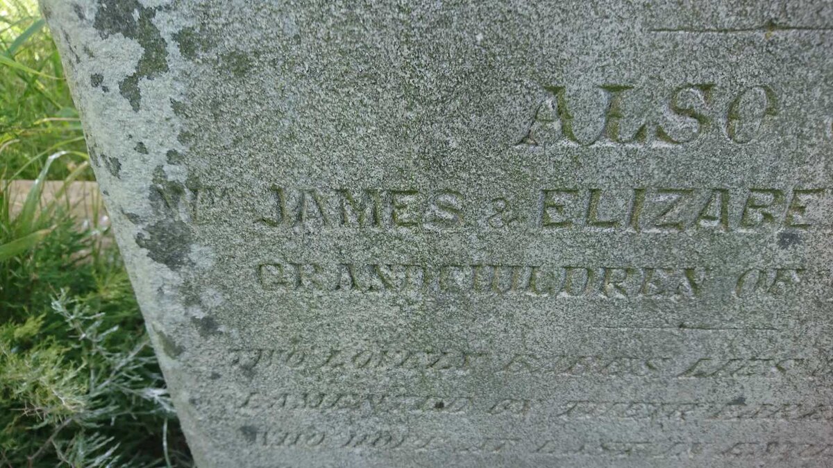 NELSON William -1862 :: WOODS William James :: WOODS Elizabeth Ann