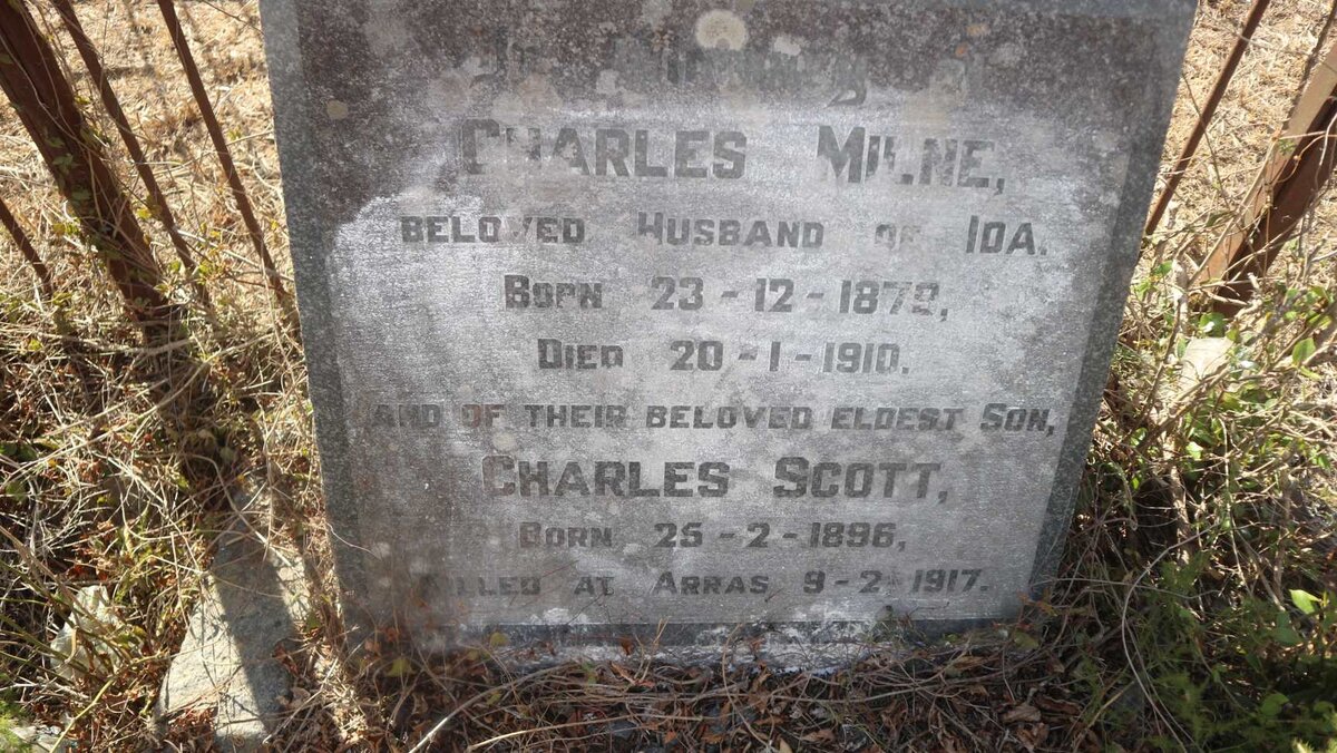 MILNE Charles 1879-1910 :: MILNE Charles Scott 1896-1917