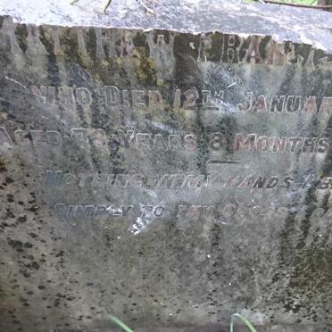 HILES Matthew Francis -1917