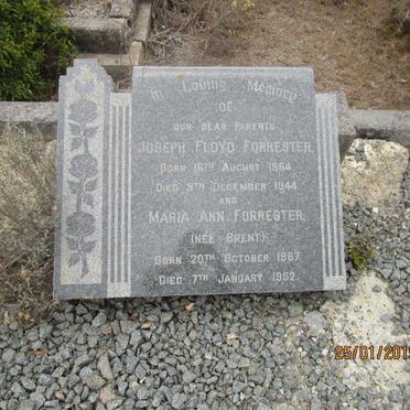 FORRESTER Joseph Floyd 1864-1944 &amp; Maria Ann BRENT 1867-1952