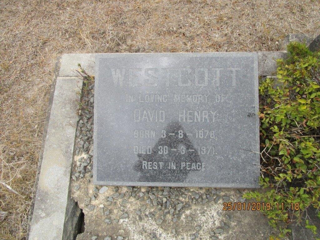 WESTCOTT David Henry 1878-1971