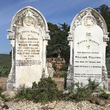 WILLOWS William -1919 &amp; Mary Hawkes -1914