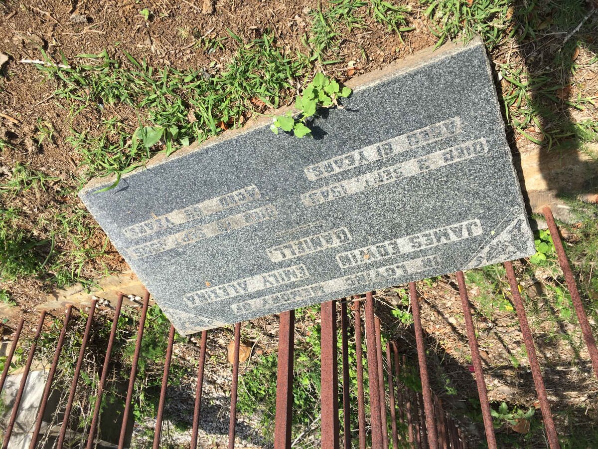 DANIELL James Edwin -1943 &amp; Emily Alexina -1936