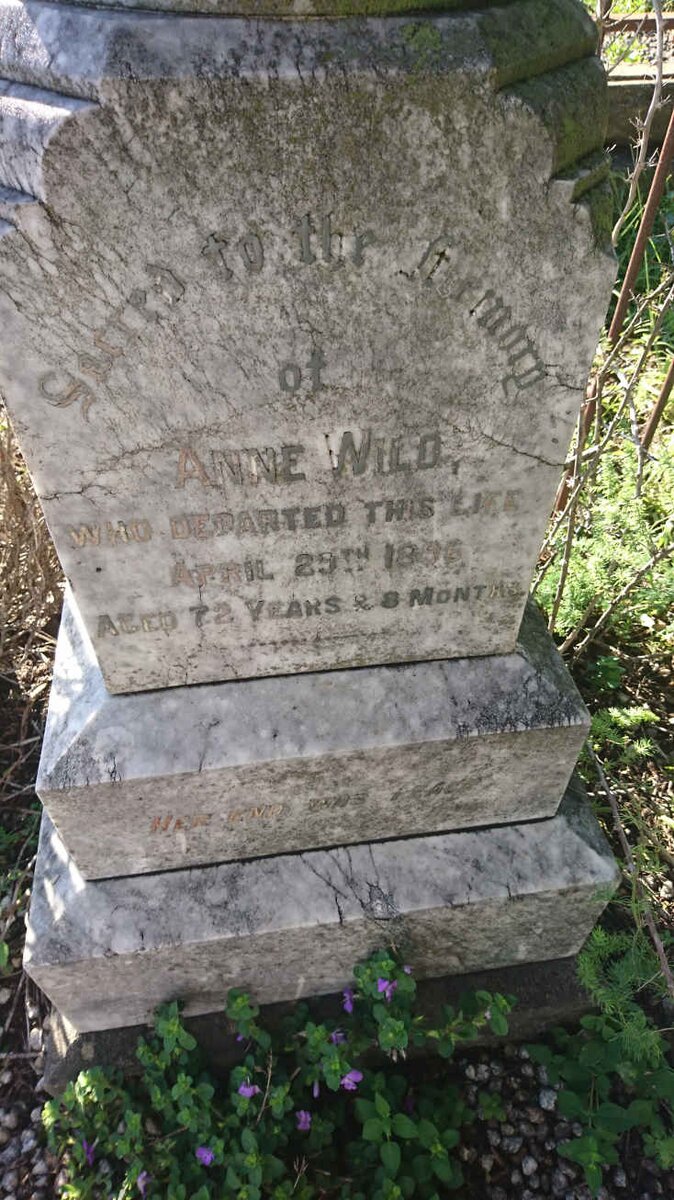 WILD Anne -1896