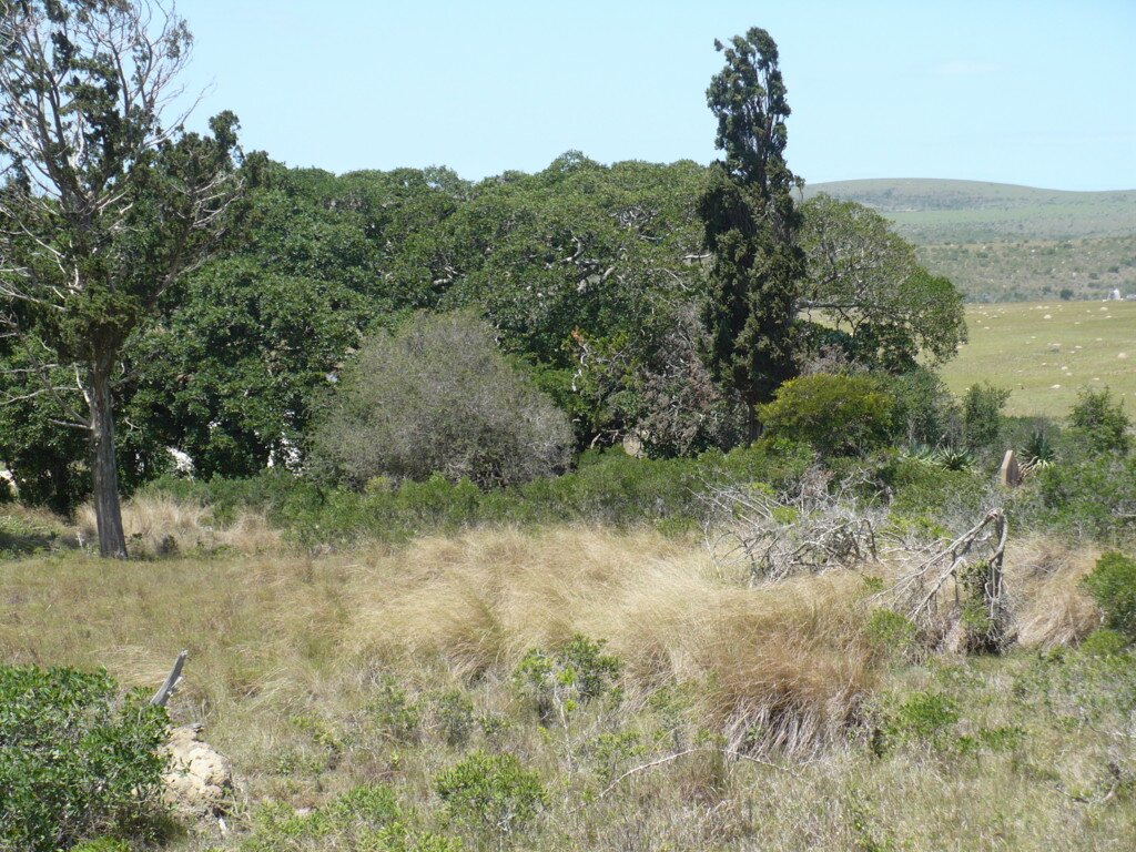 1. Bodiam German Cemetery