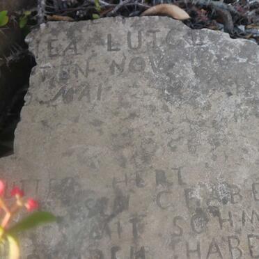 LÜTGE Dorothea -1904