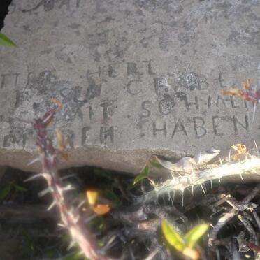 LÜTGE Dorothea -1904