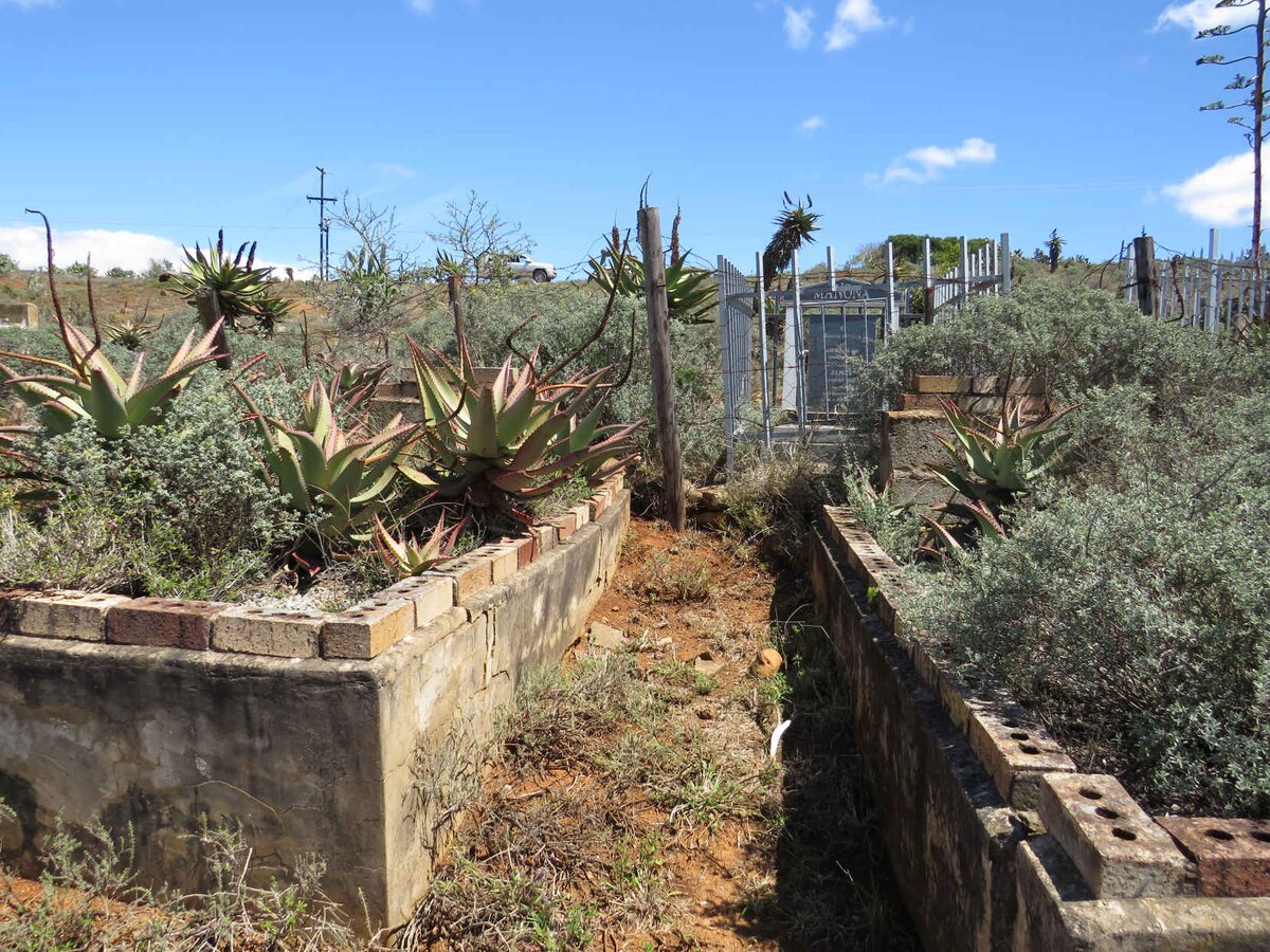 2. Overview / Oorsig