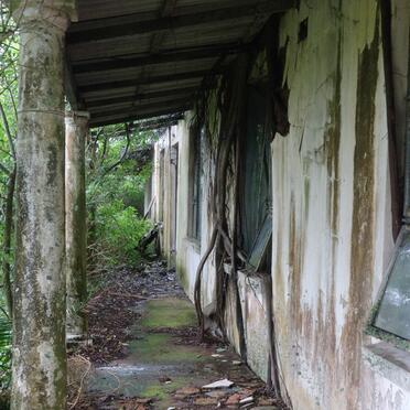 Eastern Cape, PEDDIE district, Fish River Mouth, Lessendrum 228, farm cemetery