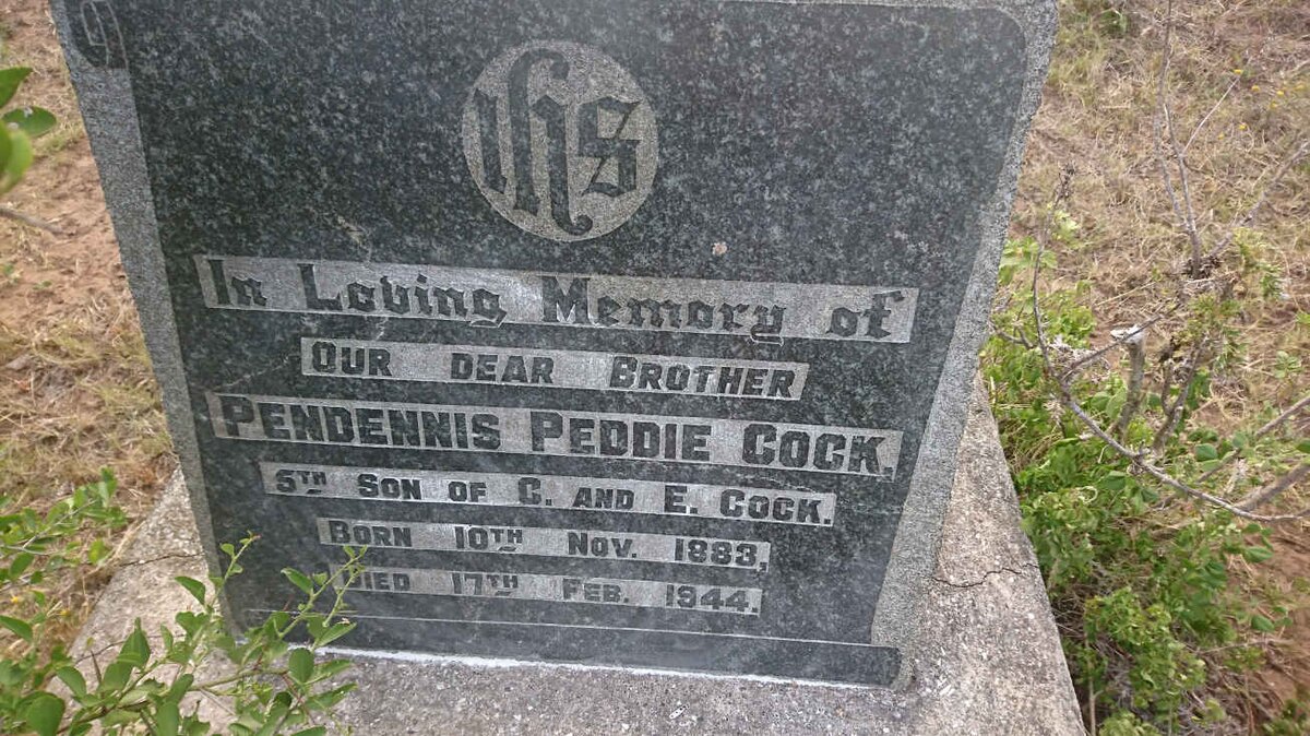 COCK Pendennis Peddie 1883-1944