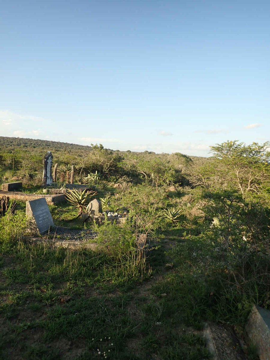 2. Overview / Oorsig