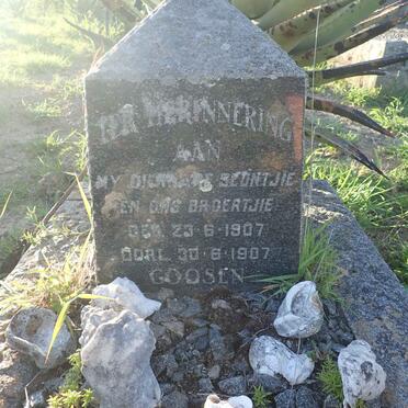 GOOSEN 1907-1907