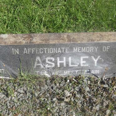 ASHLEY Ernest Henry 1892-1967 &amp; Violet Lilian 1898-197?