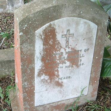 G - Surnames :: Vanne - G