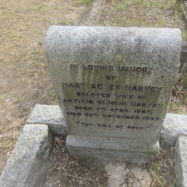 HARVEY Mary Agnes 1885-194?