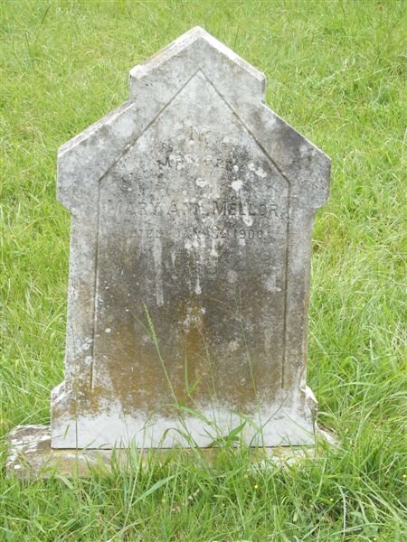 MELLOR Mary Ann -1900