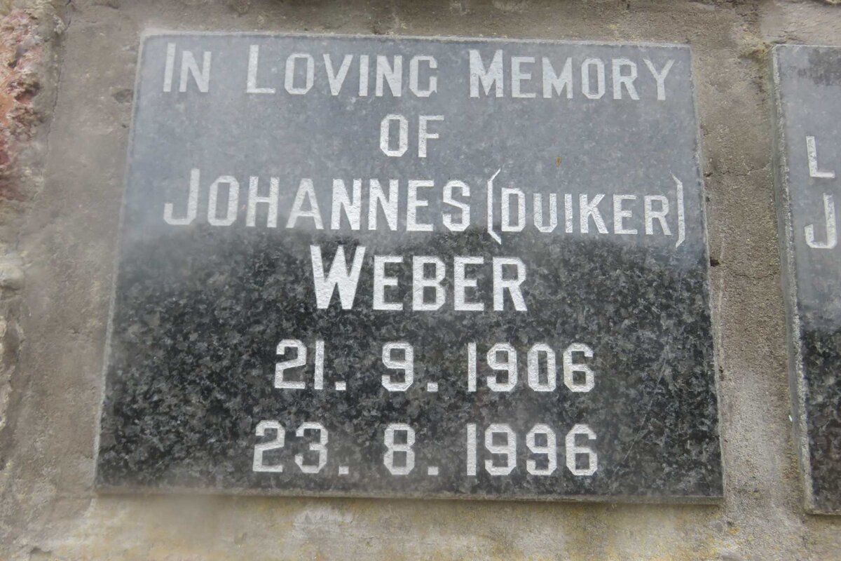 WEBER Johannes 1906-1996