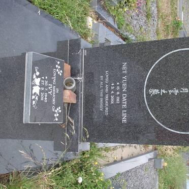 DATE LINE Net Yeun 1912-2001 :: DATE LINE Ivy 1940-2011