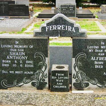 FERREIRA Surnames :: Vanne