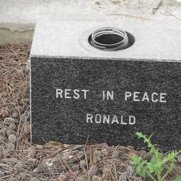 MESCHT Ronald, van der 1950-1997