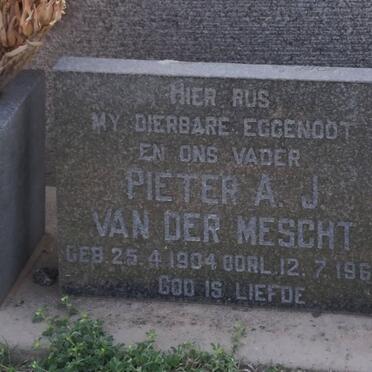 MESCHT Pieter A.J., van der 1904-1967