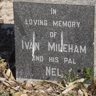 MILEHAM Ivan :: ? Nel