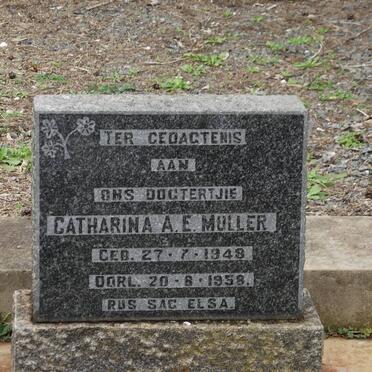 MULLER Catharina A.E. 1948-1958