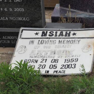 Ns - Surnames starting with the letters Ns