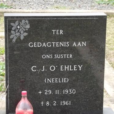 O'EHLEY C.J. 1930-1961