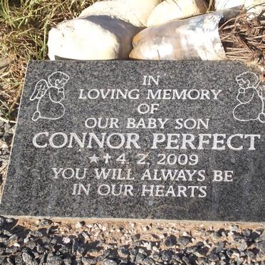 PERFECT Connor 2009-2009