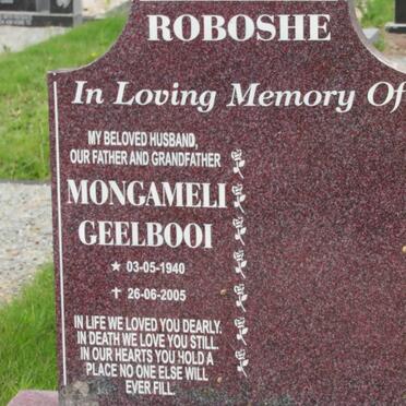 ROBOSHE Mongameli Geelbooi 1940-2005