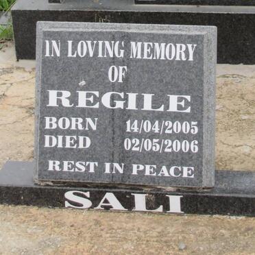 SALI Regile 2005-2006