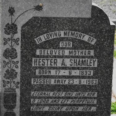 SHAMLEY Hester A. 1893-1963