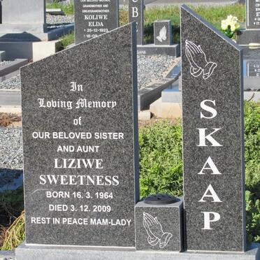 SKAAP Liziwe Sweetness 1964-2009