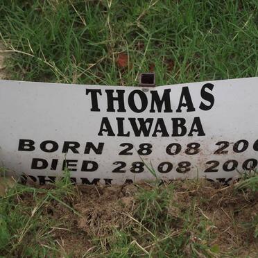 THOMAS Alwaba 2006-2006