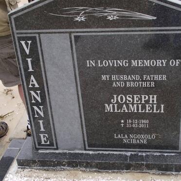 VIANNIE Joseph Mlamleli 1960-2011