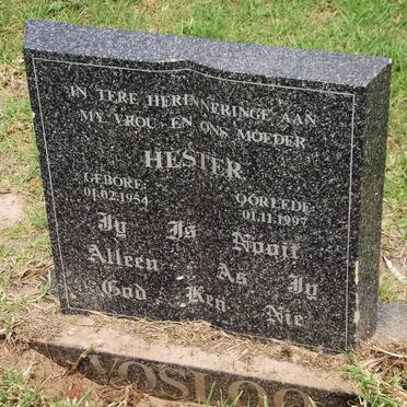 VOSLOO Hester 1954-1997